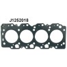 J1252018