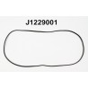 J1229001