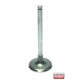 Клапан 8942512750 IA480 Isuzu всмукателен