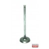 Клапан 8970274991 IA620 Isuzu Opel всмукателен