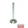 Клапан 13201H9500 NA730 Nissan A14 A15 всмукателен