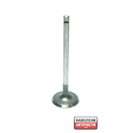 Клапан 1320101M00 NA790 Nissan E13 E15 всмукателен