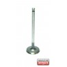 Клапан 1320101M00 NA790 Nissan E13 E15 всмукателен