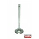 Клапан 1320101B00 NA810 Nissan MA10 MA12 всмукателен