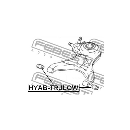Тампон 55256-3A100 HYABTRJLOW Hyundai Trajet заден носач