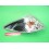 Мигач C10051060B 2161546R Mazda Premacy десен