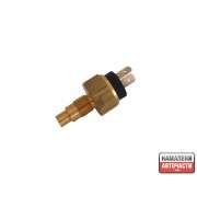 Датчик температура 250809x200 Nissan Cabstar Atleon