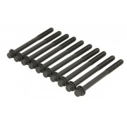 Комплект болтове за глава 1111769G00 11117-69G00 Fiat Suzuki