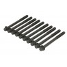 Комплект болтове за глава 1111769G00 11117-69G00 Fiat Suzuki