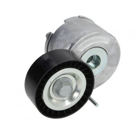 Обтяжна ролка 1609976080 534045510 Citroen Fiat Peugeot