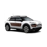 C4 Cactus (2014-)