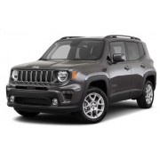 Renegade 2014-