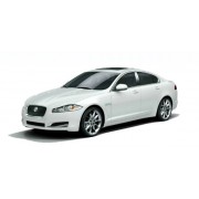 XF X250 (2008-)